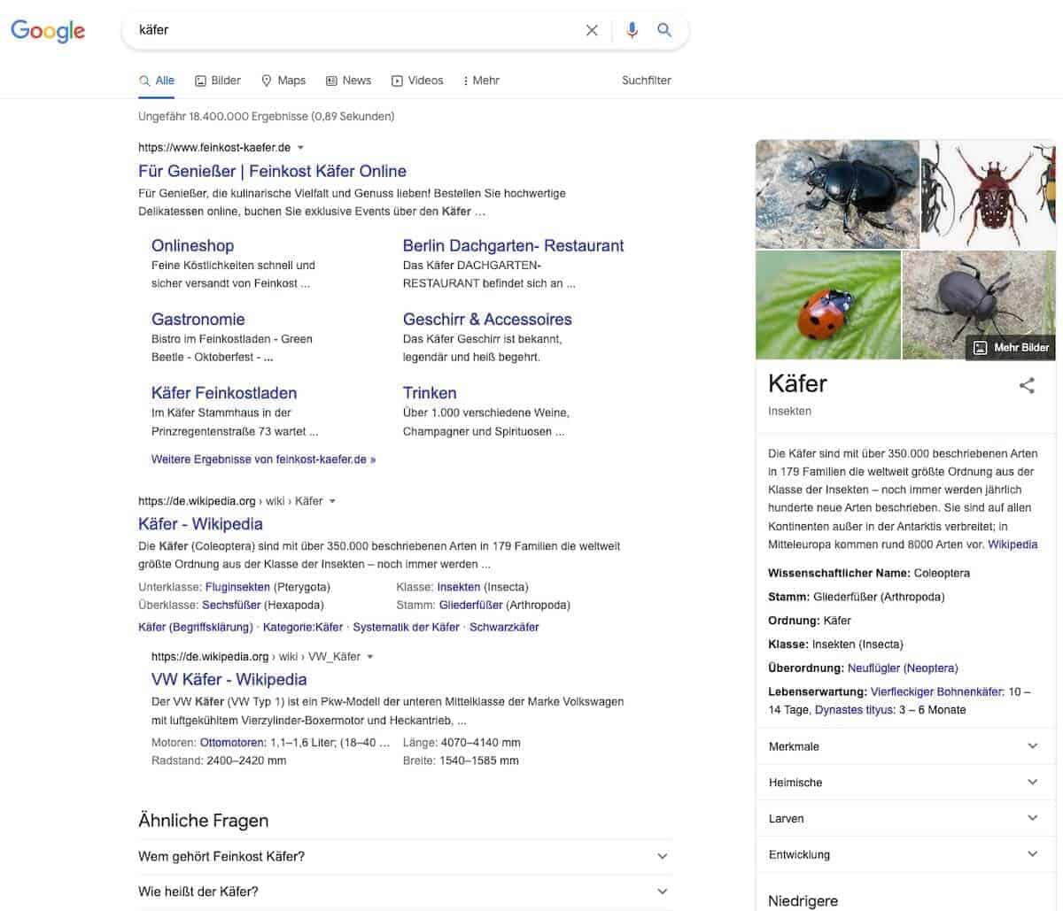 Suchbegriff "Käfer" die Ergebnisse sind nicht eindeutig - sarah-depold.de
